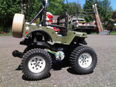Wild Willy Project